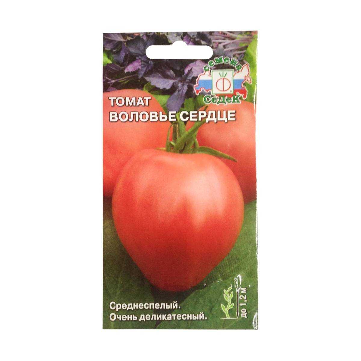 Вкусный, сочный и ароматный гигант на грядке — томат «воловье сердце»