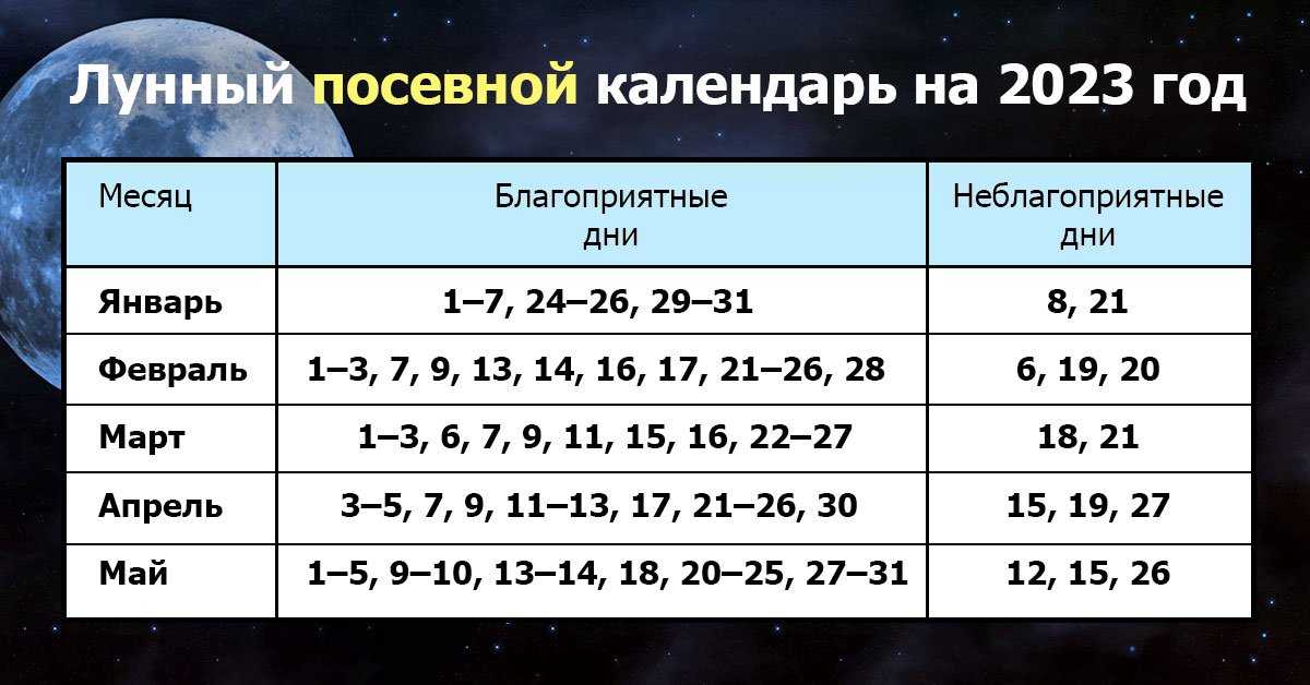 Как и когда сажать лук севок в открытый грунт весной в 2021 году. благоприятные дни для посадки лука севка в различных регионах в 2021 году: таблица по месяцам