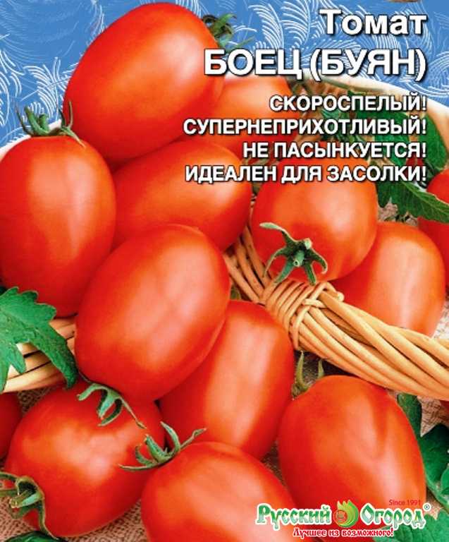 Стойкий «боец» за урожай помидоров: описание сорта томатов «буян»