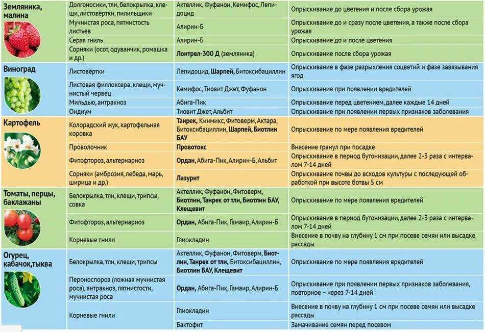 Когда можно обрабатывать деревья медным купоросом