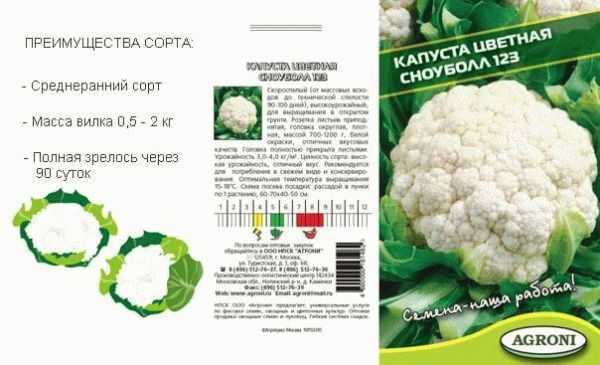 Как выращивать цветную капусту в открытом грунте