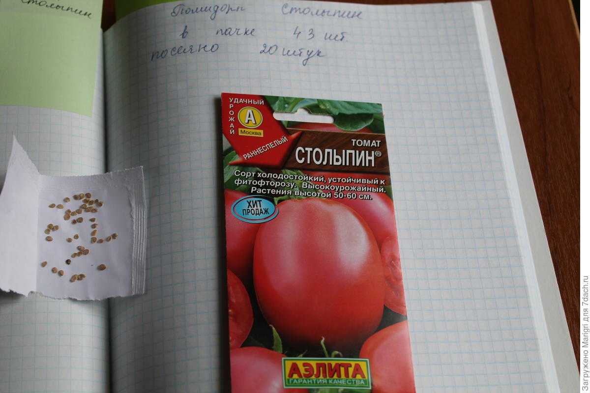 Томат «столыпин»: описание сорта и фото, характеристики плодов помидоров и советы по их выращиванию