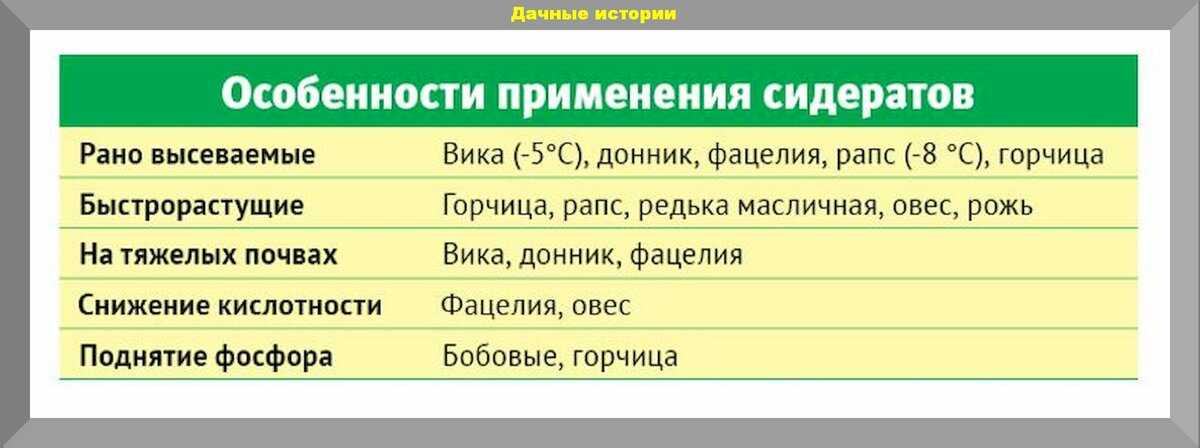Обработка картофеля перед посадкой от болезней и вредителей