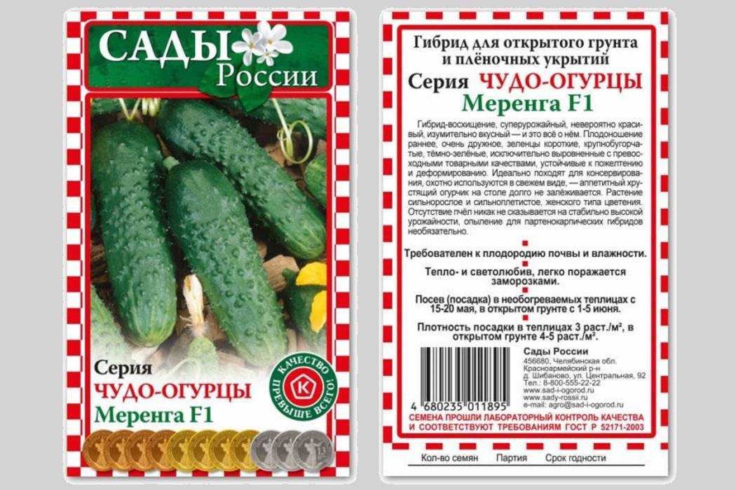 Описание и характеристика огурцов Меренга Особенности выращивания и формирования Отзывы Видео