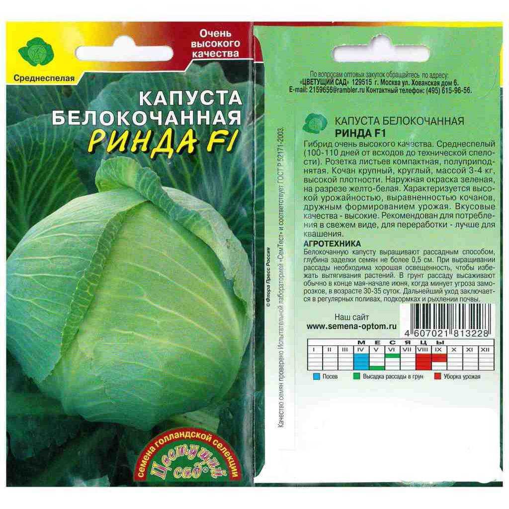 Капуста ринда – описание сорта, фото, отзывы