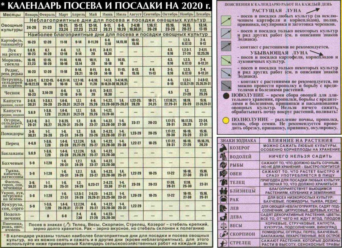 Когда можно сажать и сеять по народным приметам.