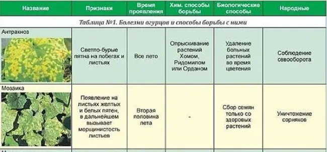 Как лечить антракноз у винограда