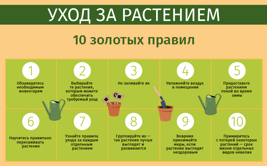 Какие деревья нельзя сажать возле дома