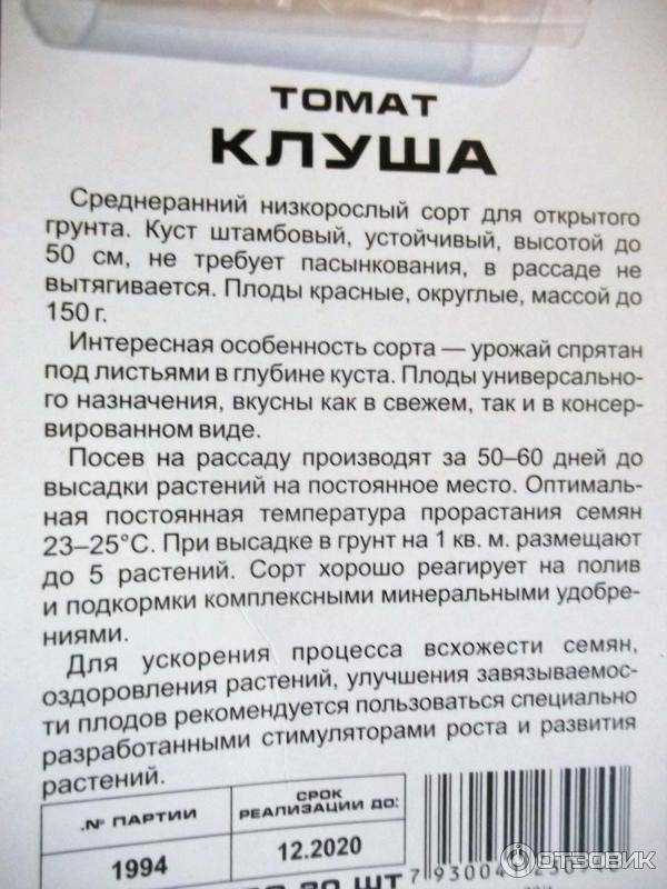 Томаты клуша, характеристика и описание сорта с отзывами