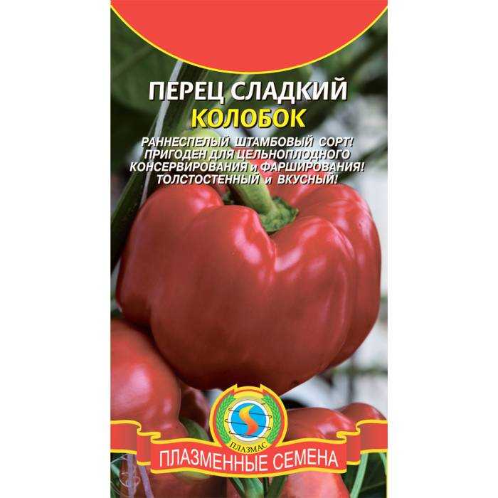 Перец колобок: характеристики сорта и нюансы выращивания
