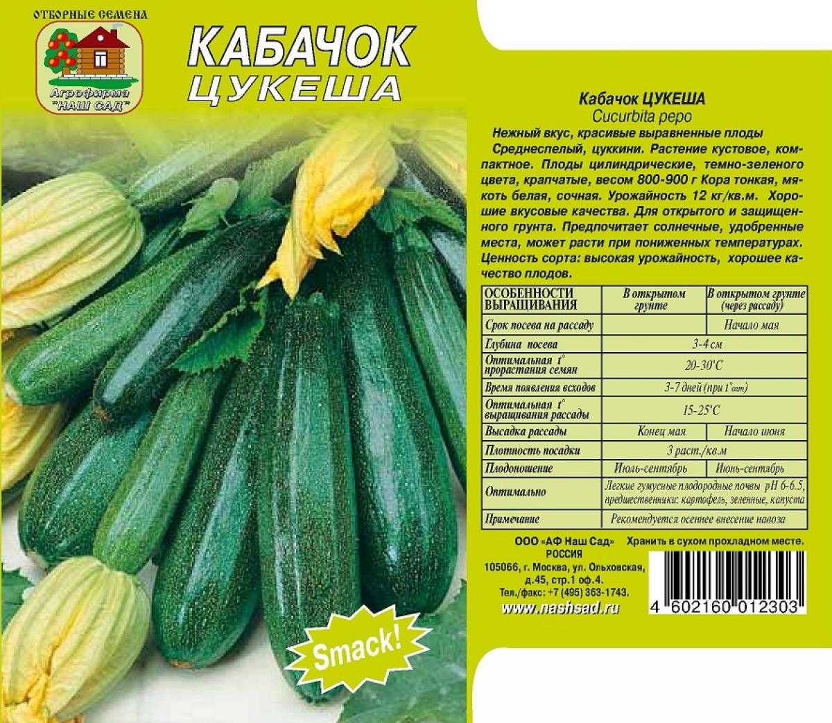 19 самых лучших сортов кабачков: описание | (фото) +отзывы