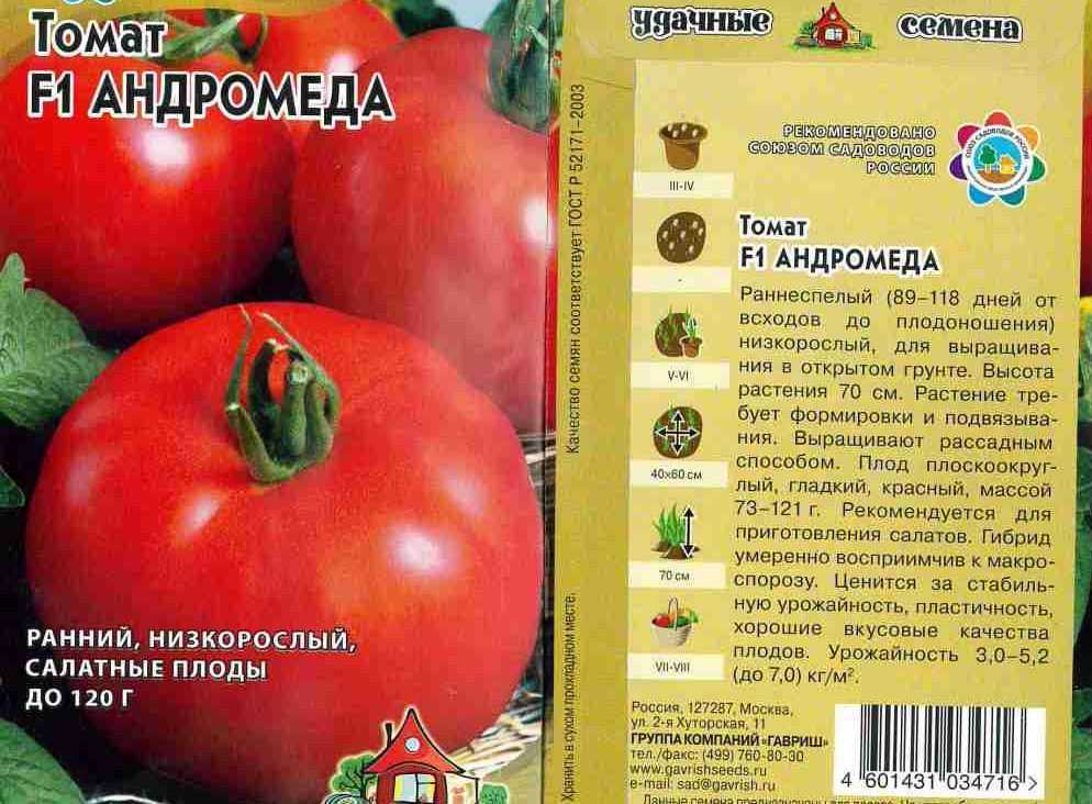 Сейчас трудно удивить огородника новым сортом помидоров, но ещё лет двадцать назад они интересовались каждой новинкой И гибриды пользовались более