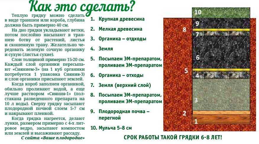 Устройство высокой грядки: основые принципы