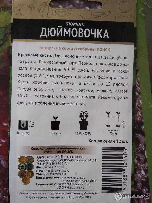 Огурцы Дюймовочка Отзывы Фото