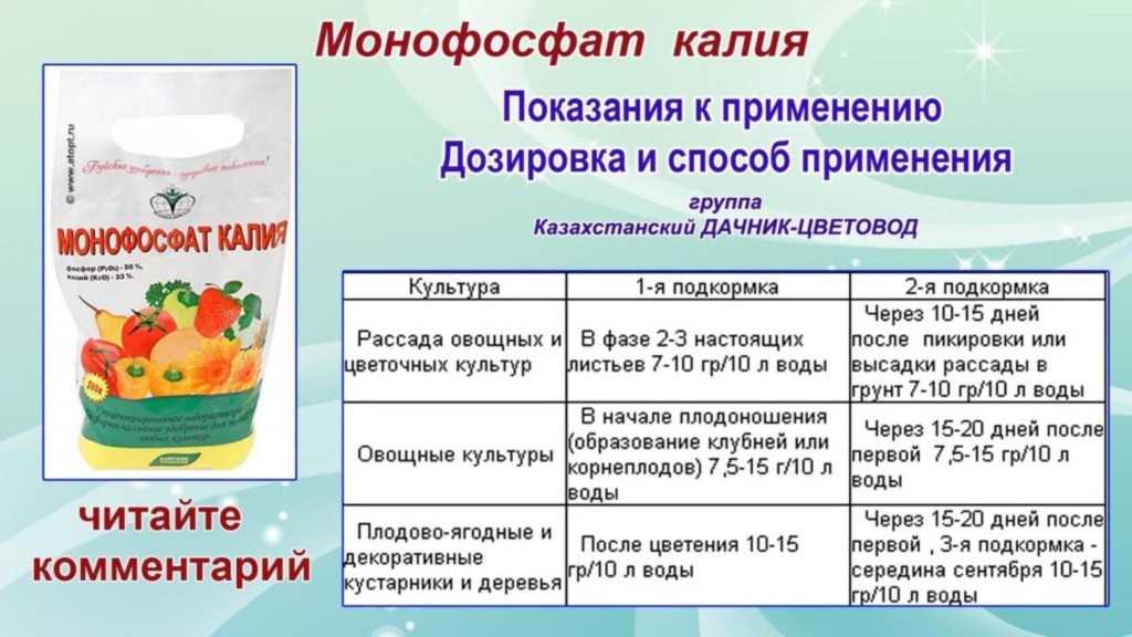 Народные средства для подкормки помидоров в открытом грунте и теплице