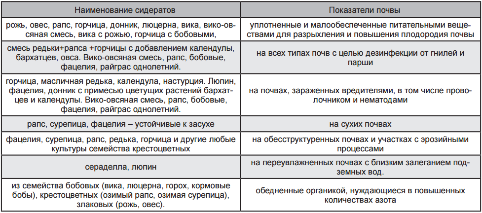 Нюансы выращивания и использования фацелии в качестве сидерата