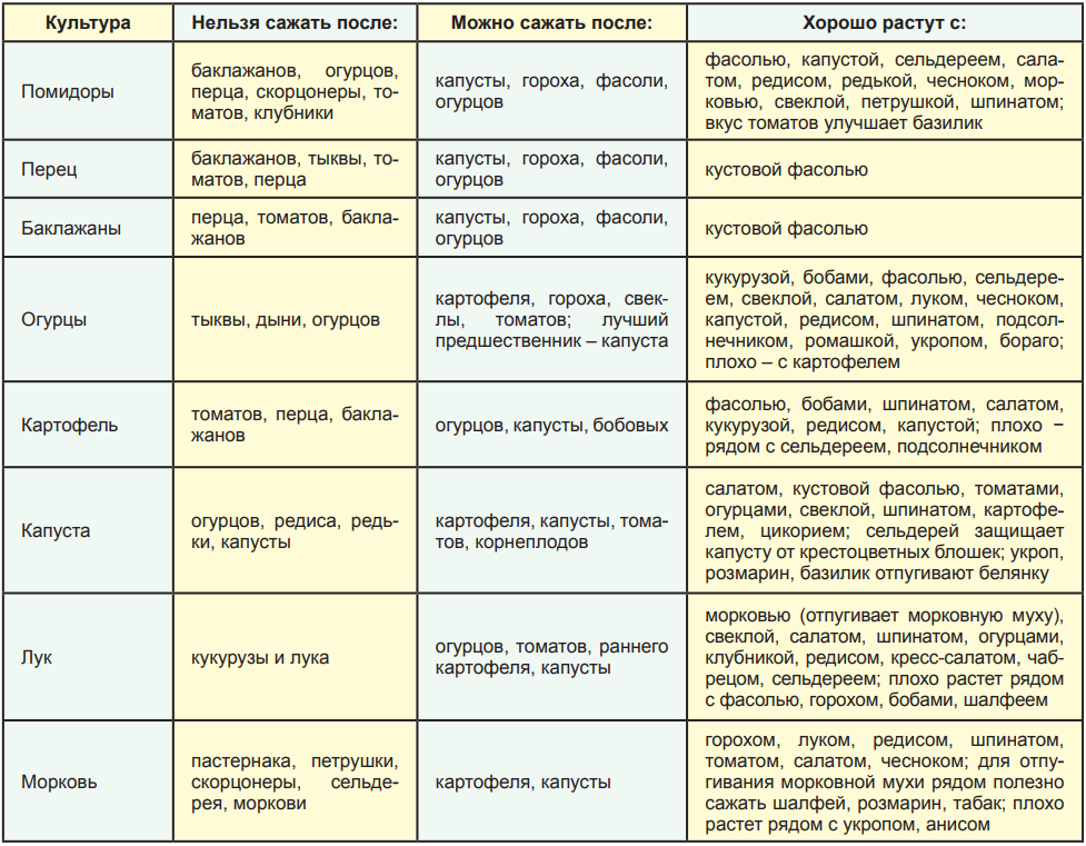 Грамотный севооборот – качественный продукт: после каких предшественников лучше всего сажать чеснок? — фазенда