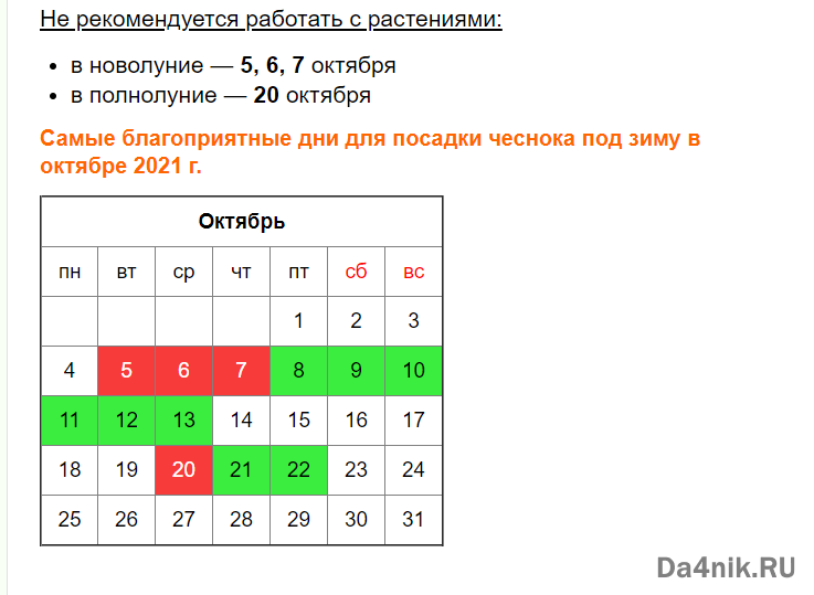 Посадка озимого чеснока осенью под зиму: сроки, схемы, правила, инструкции