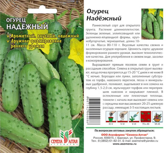 Лучшие сорта кустовых огурцов - огородные хитрости