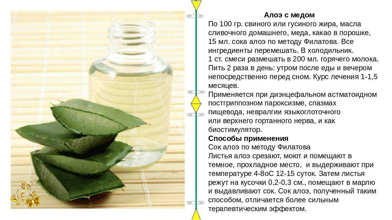 Как поливать алоэ в домашних условиях: способы и частота полива в 2023 году на гудгрунт