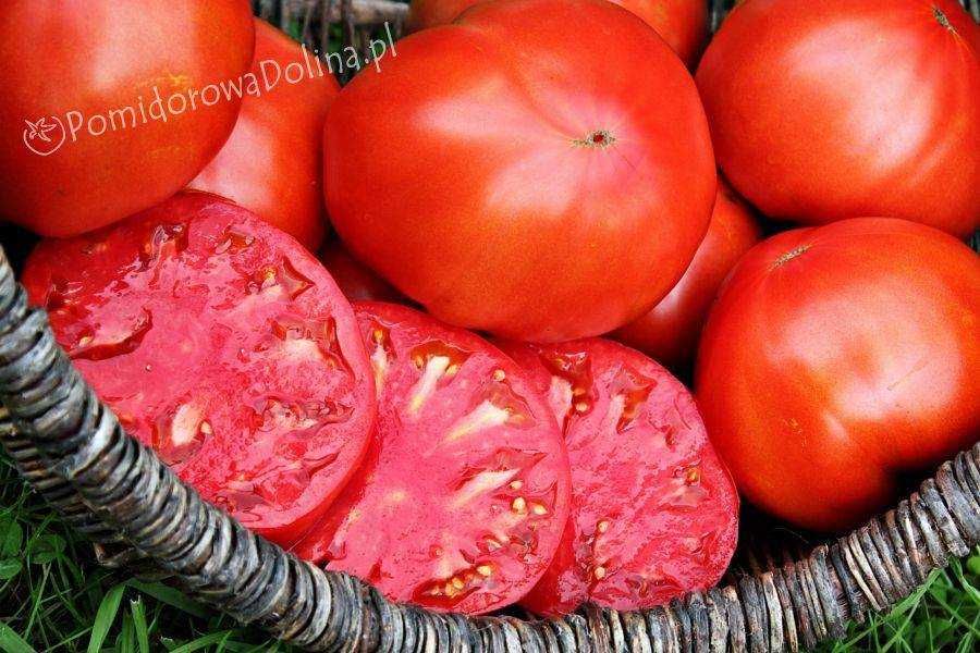 Шапка мономаха – русский томат. особенности выращивания культуры, описание плодов