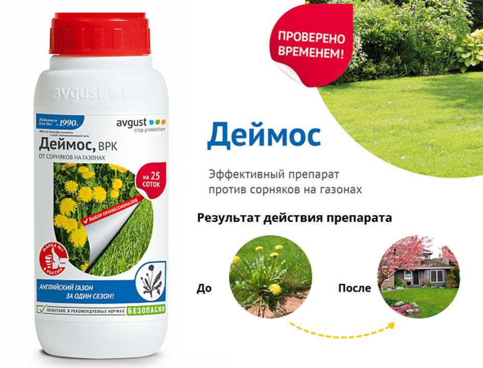 Сорняки на газоне - меры борьбы supersadovnik.ru