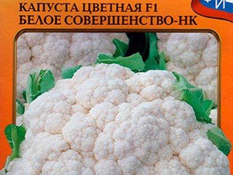 Капуста: виды (белокочанная, савойская, брокколи, брюссельская), описание 33 лучших сортов, особенности агротехники (фото & видео) +отзывы