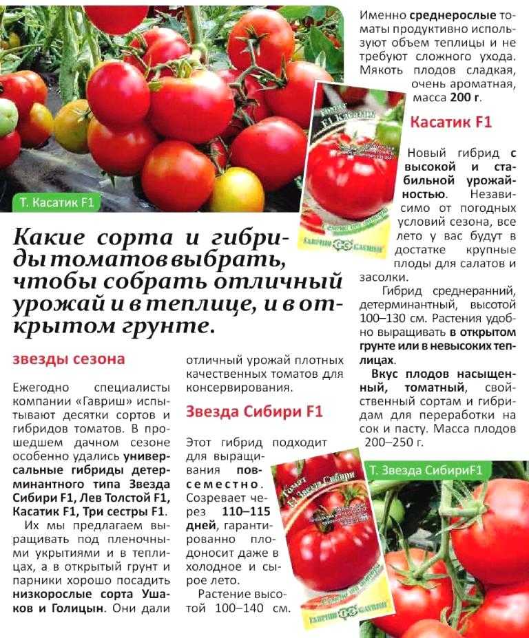 Томаты черри – топ 15 лучших сортов для теплицы по отзывам дачников с описанием и фото