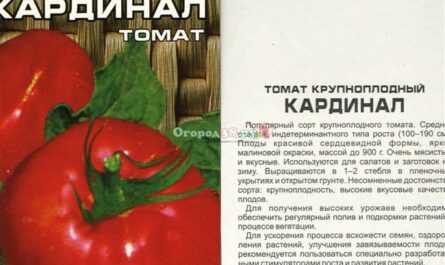 Томат «кардинал». отзывы. фото. урожайность