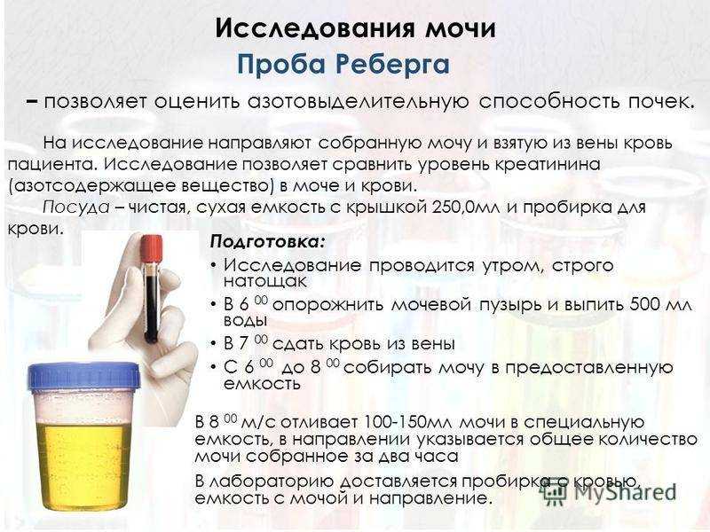 Нематоды растений, виды фитопаразитов