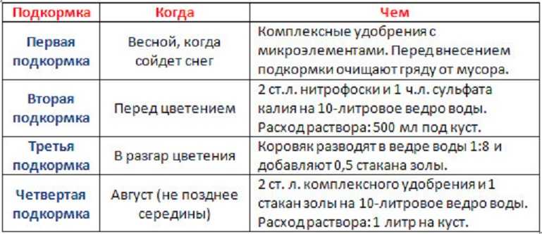Борная кислота: применение в огороде и саду для клубники, томатов и огурцов, как применять?