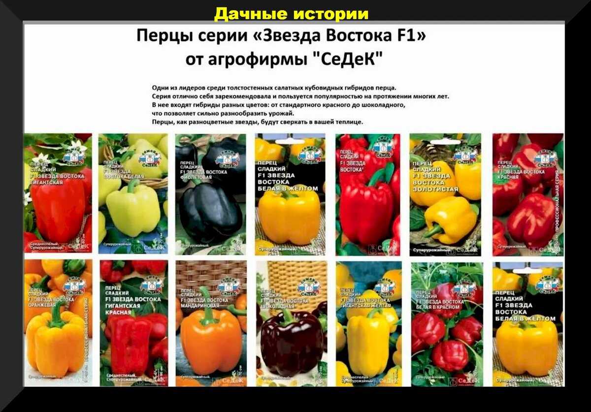Лучшие сорта перцев: самые вкусные и урожайные