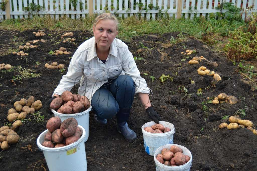 Геологические эры и хроники земли