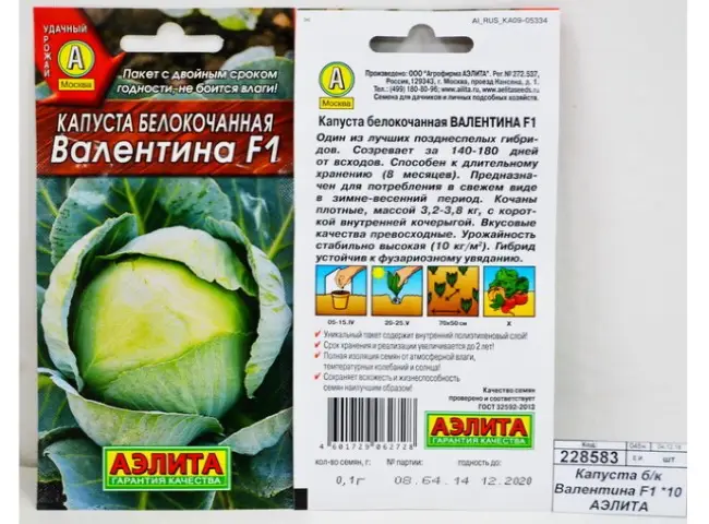 Капуста валентина - характеристика сорта, выращивание и уход