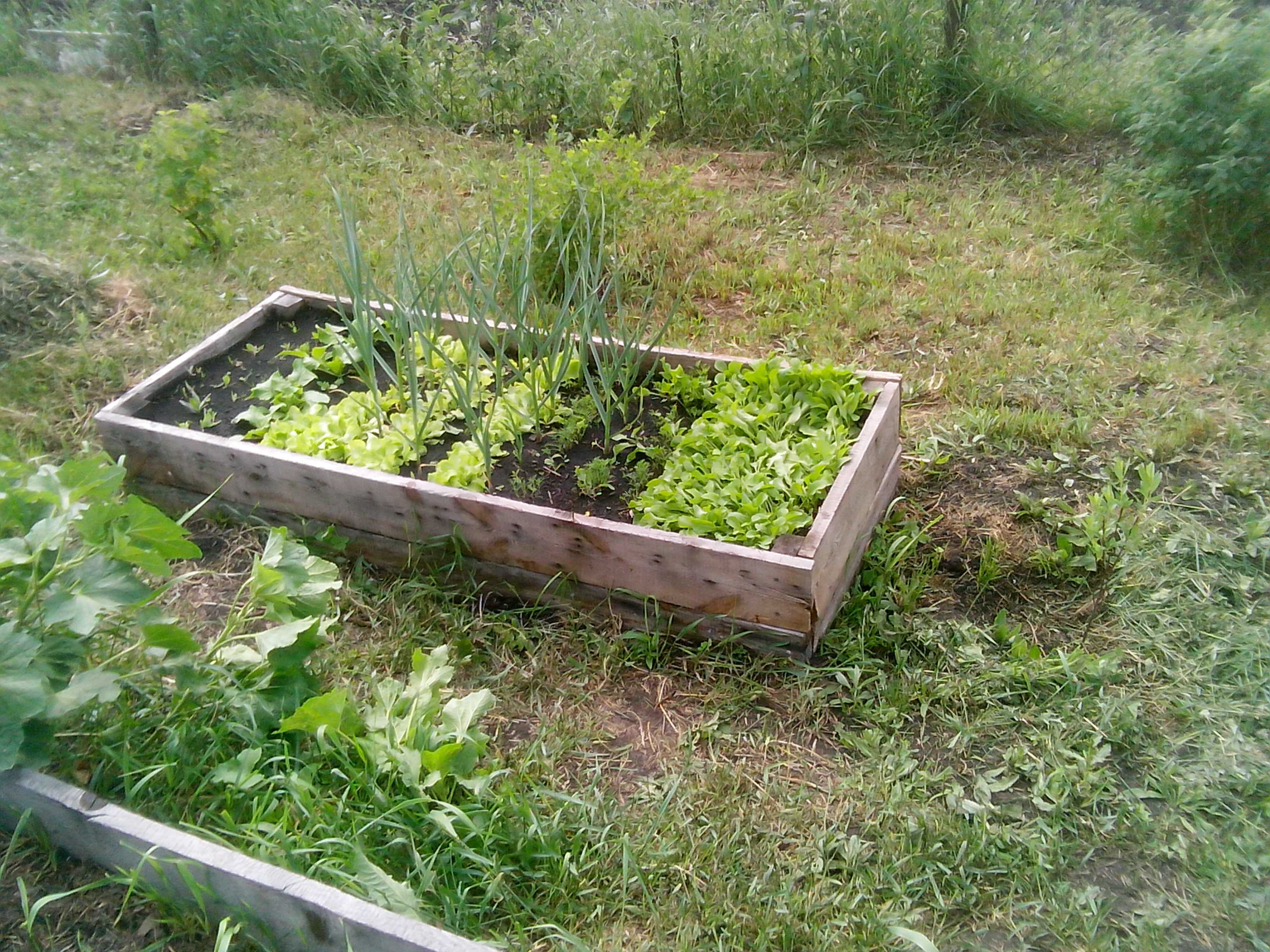 Природные и искусственные экосистемы