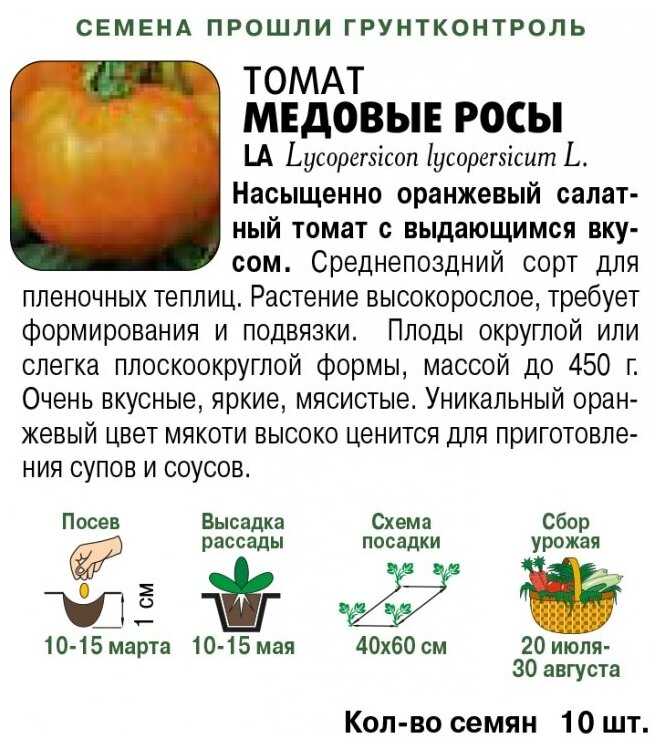 Томат «медовый гигант»: крупноплодный и урожайный