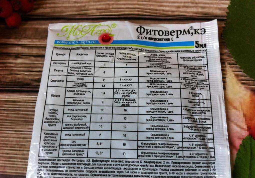 Фитоверм: инструкция по применению для растений, отзывы, когда обрабатывать, для клубники, огурцов, комнатных цветов, роз, смородины,от тли