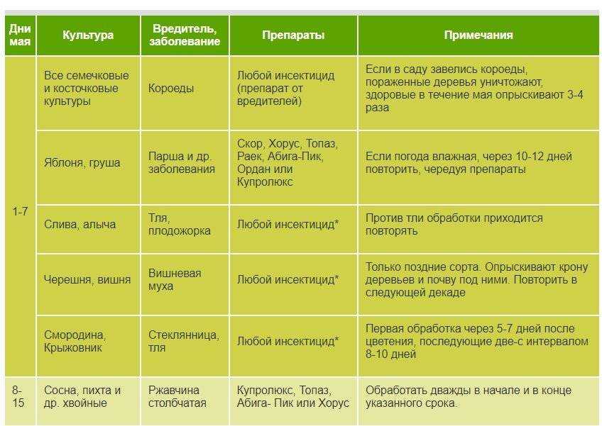 Чем лечить и как бороться с паршой на яблоне, меры профилактики