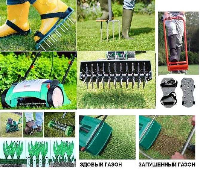Выбираем технику для ухода за газоном и садом: аэратор и скарификатор