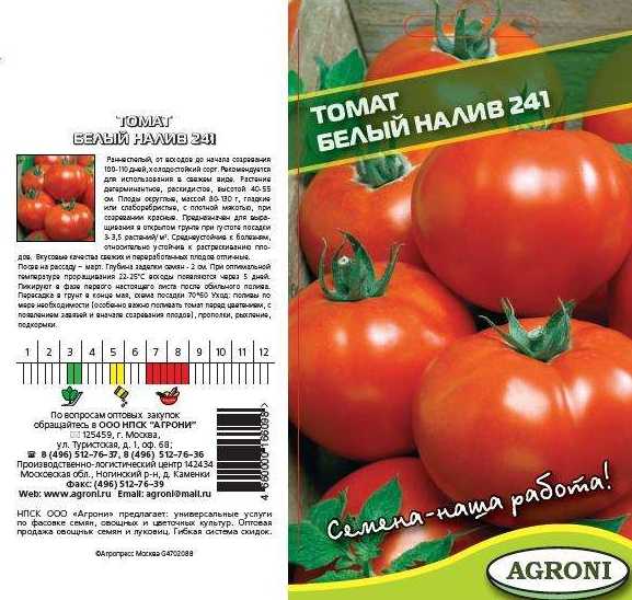 Томат белый налив 241: характеристика и описание сорта