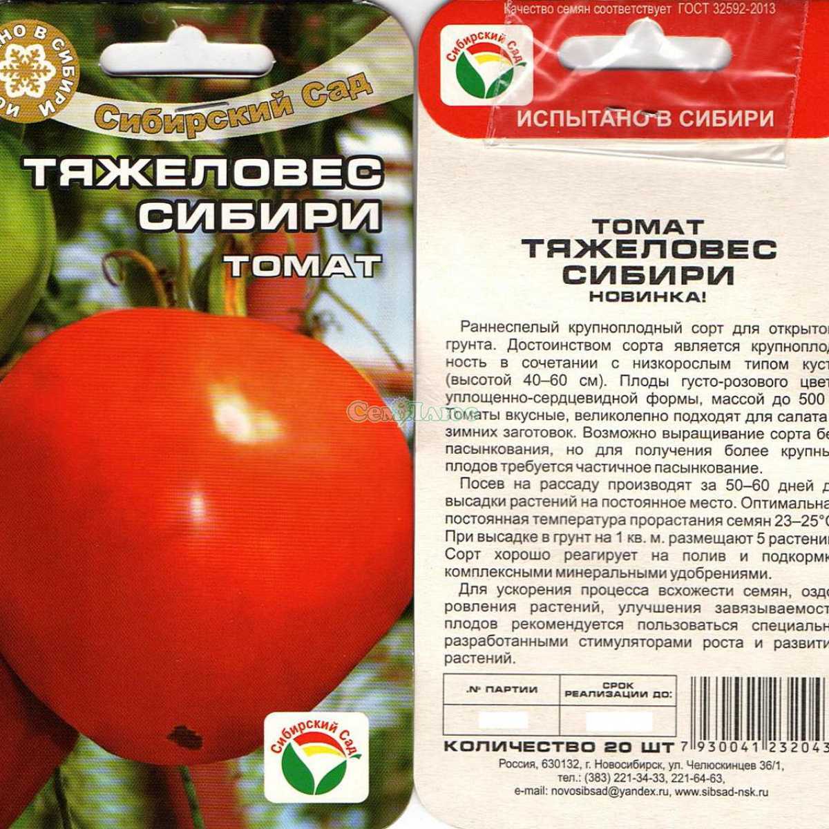 Формирование томатов: зачем это делать и как правильно обрезать томаты в теплице и на улице?
