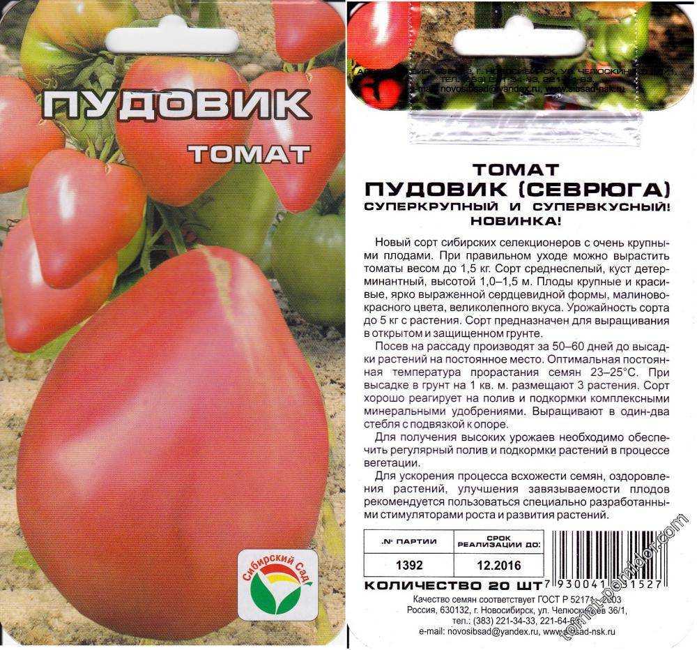 Сорт томата «севрюга» («пудовик») – фото, отзывы, описание