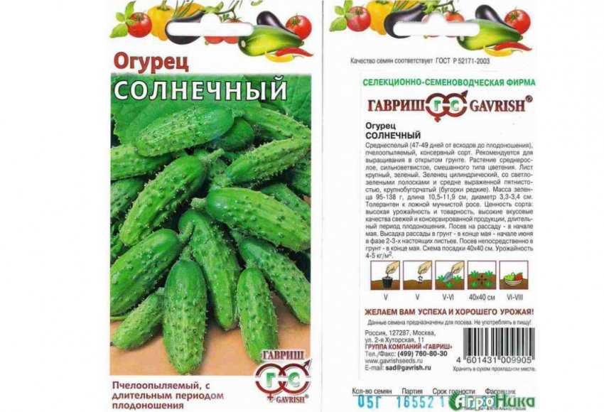 Сорта огурцов для подмосковья: особенности посадки и ухода