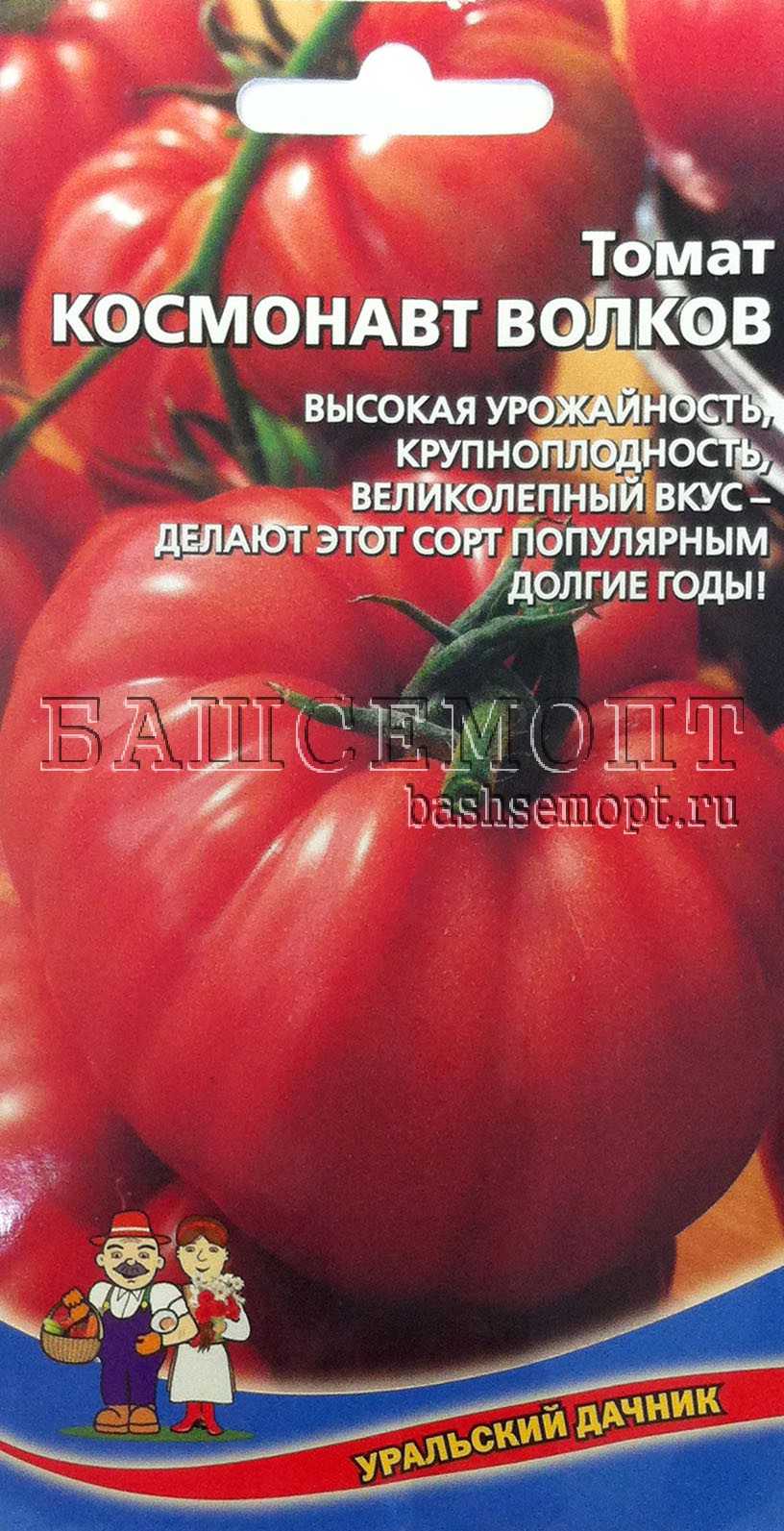 Томат космонавт волков - отзывы о сорте, описание, фото