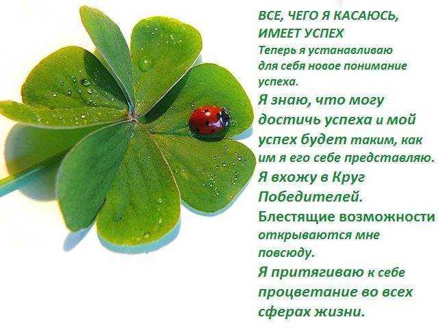 Народная кактусология