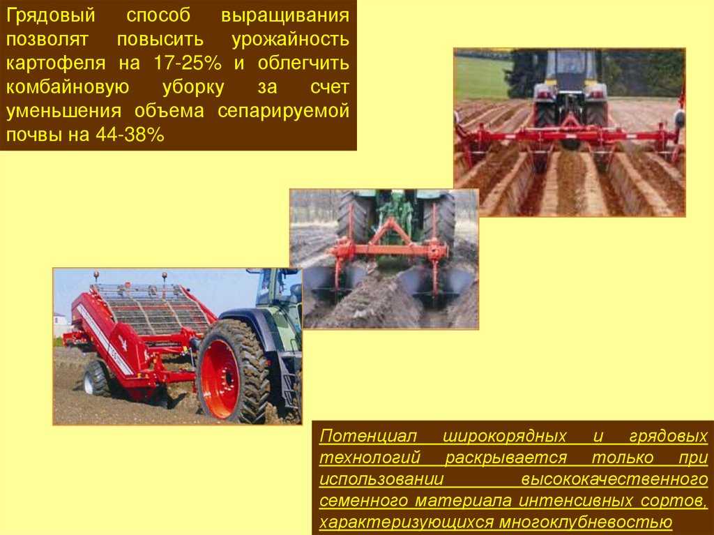 Как ухаживать за почвой после картофеля. севооборот, сидераты, удобрения. фото — ботаничка
