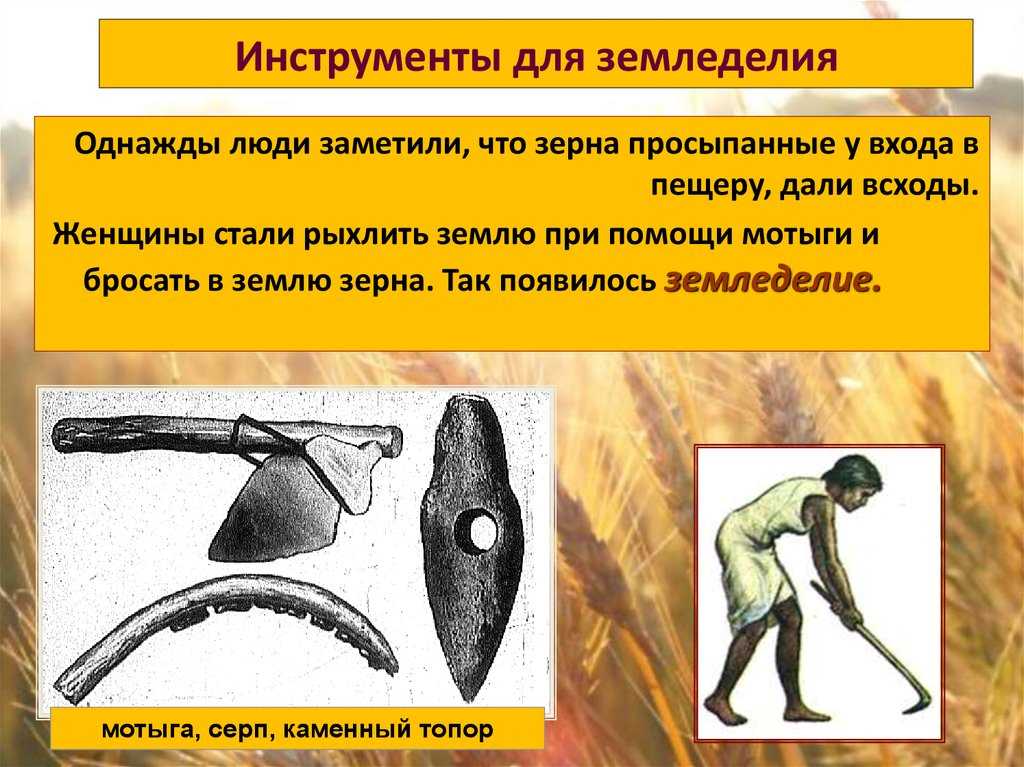 Какое орудие труда использовали в старину при уборке картофеля
