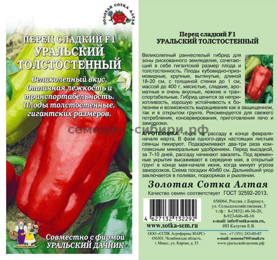 Выращивание перца колокольчик: все особенности сорта