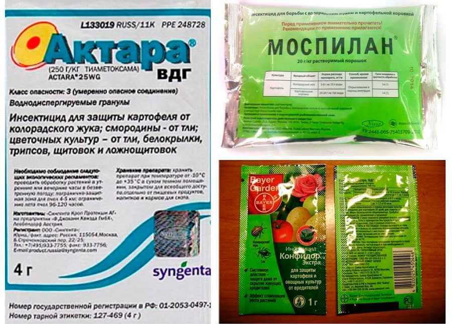 Методы борьбы с белокрылкой на помидорах в теплице: чем опрыскивать, какие средства применять