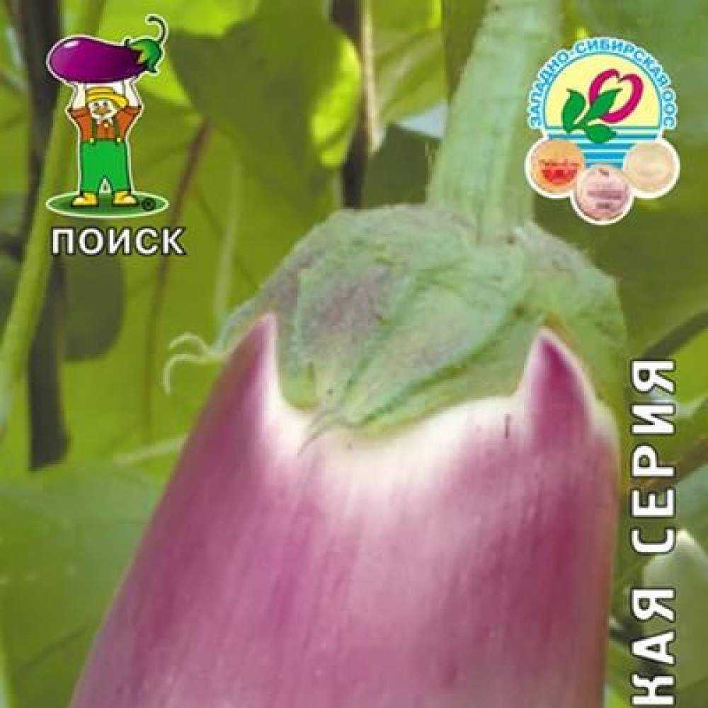 Баклажан вера: характеристика и описание сорта, его плюсы и минусы, нюансы выращивания